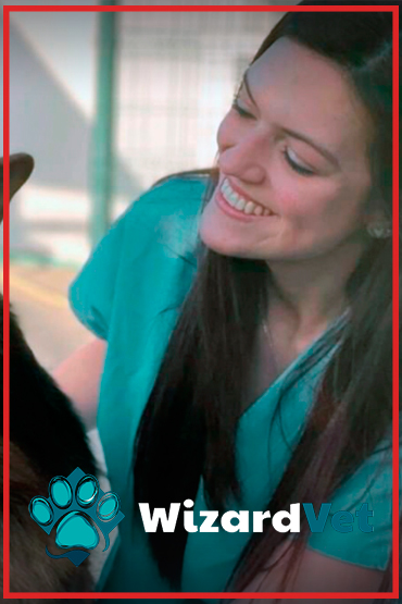images description